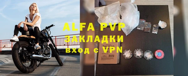 дживик Козельск