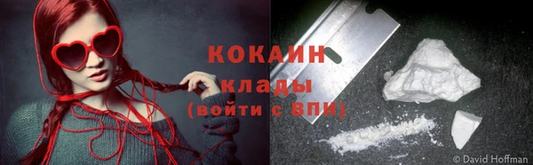 дживик Козельск