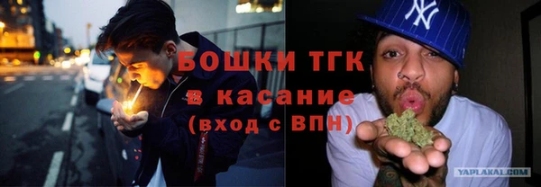 дживик Козельск
