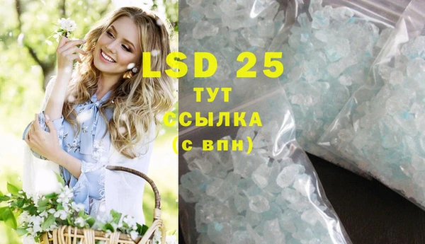 дживик Козельск