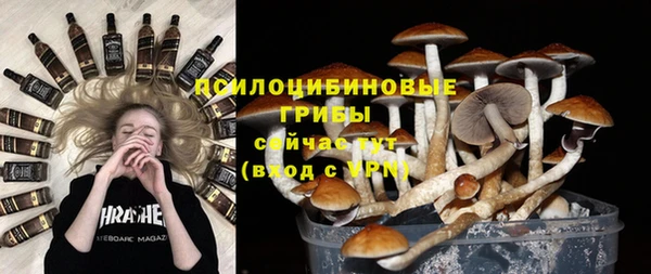 сатива Коряжма