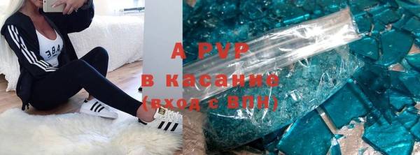 сатива Коряжма