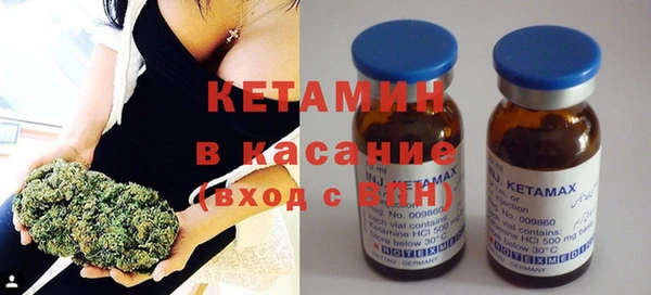 сатива Коряжма