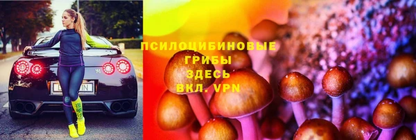 a pvp Корсаков