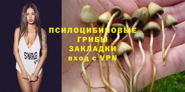 дживик Козельск