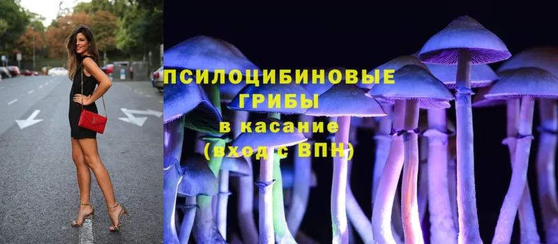 блэк спрут ТОР  Салават  Галлюциногенные грибы MAGIC MUSHROOMS  купить  сайты 