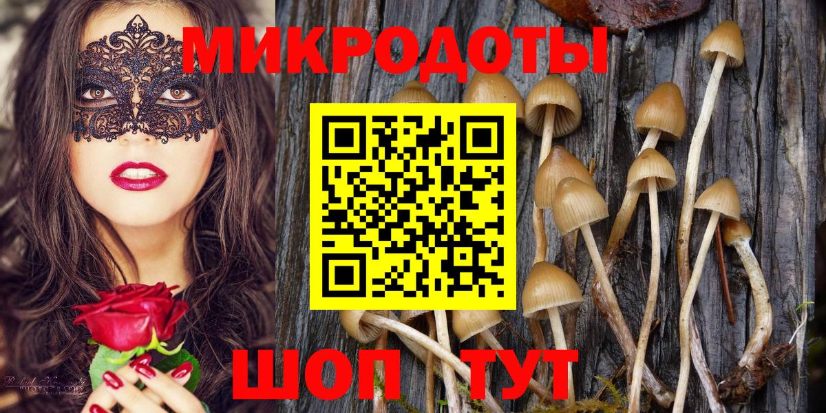 Псилоцибиновые грибы Cubensis  Вход с VPN  как найти закладки  Салават 